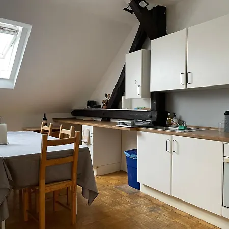 Roseman Iii - Centraly Located, Old Spacious * Ljubljana